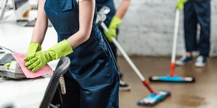 Britlin Cleaning Team